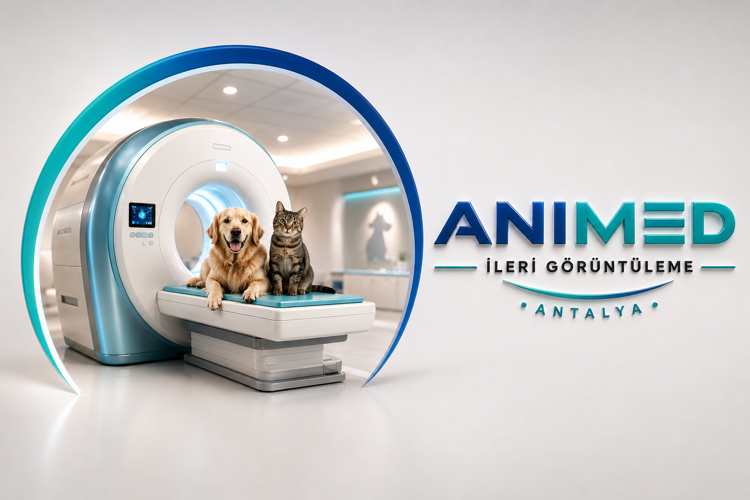 Animed İleri Görüntüleme: MR cihazı üzerinde bir köpek ve bir kedi