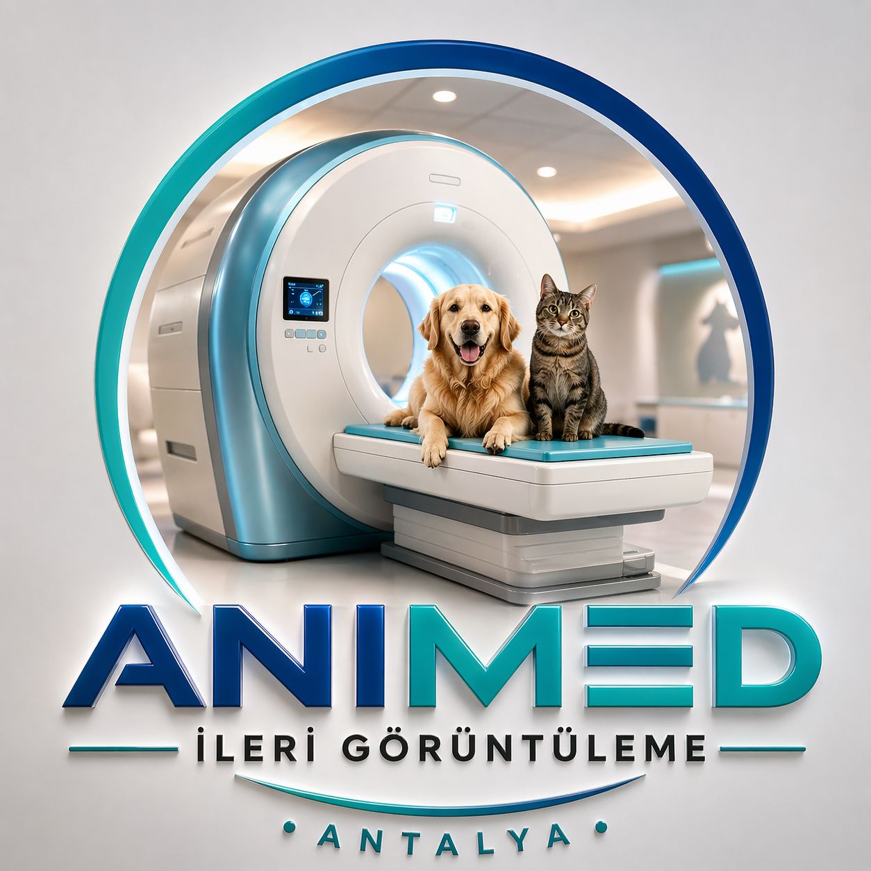 Animed İleri Görüntüleme